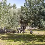 Finca Barons